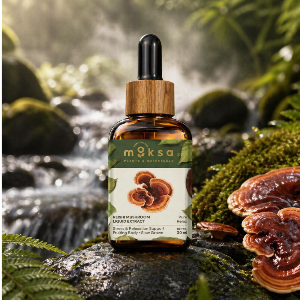 Reishi Mushroom Extract (Pure Relax)