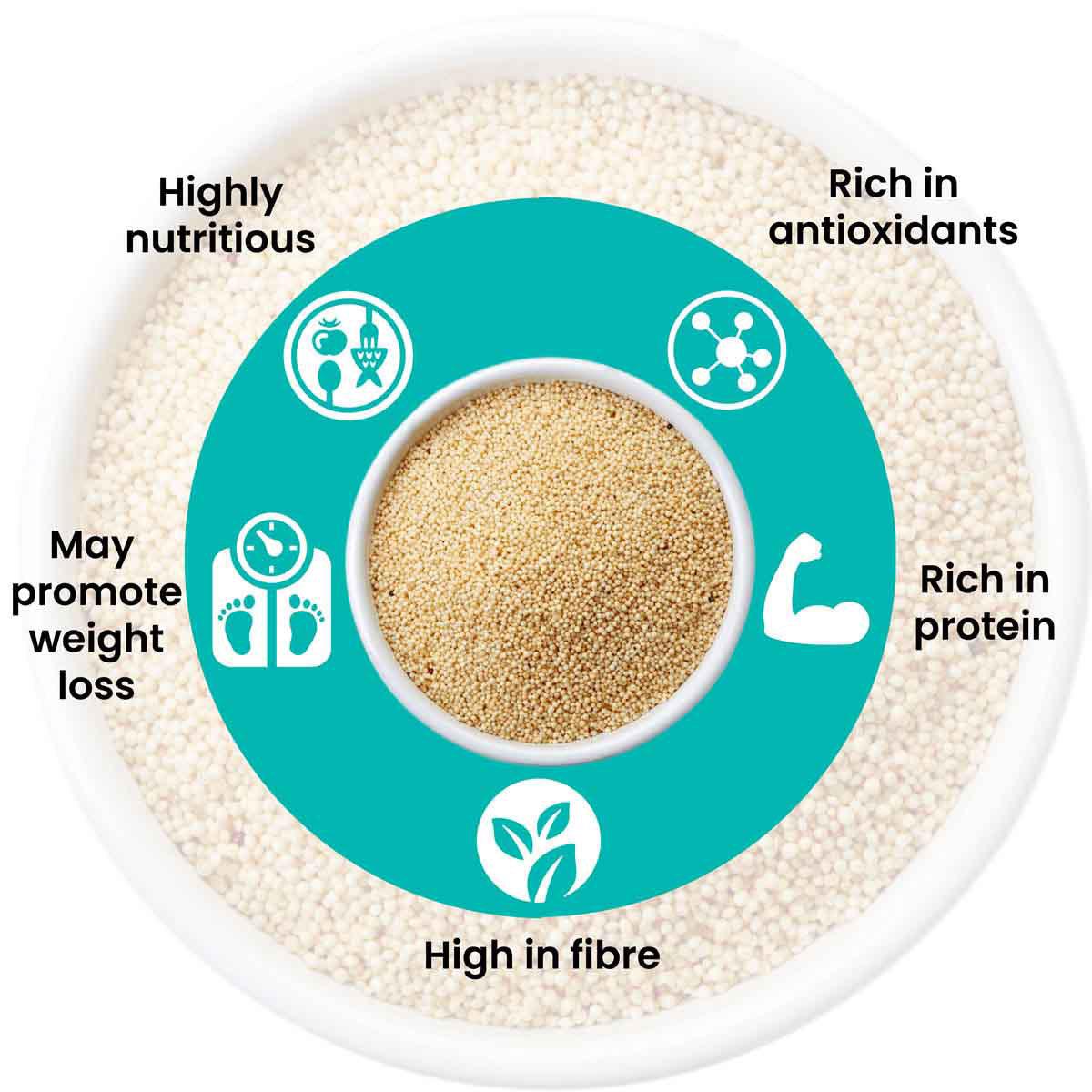 Increase Metabolism - MoksaExpectMiracles